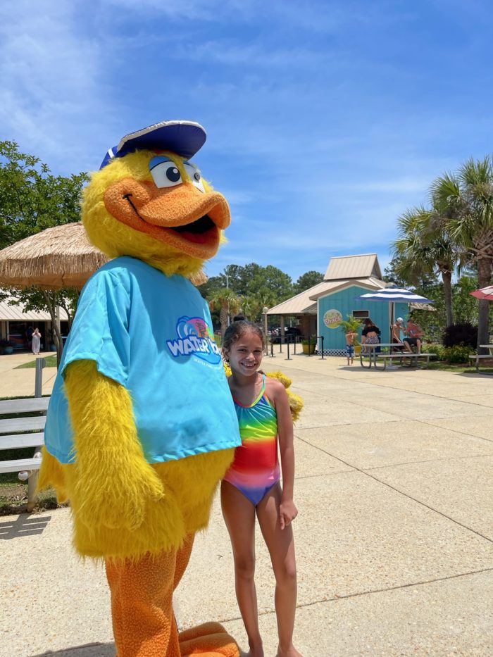 Rules & FAQ to Water World